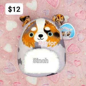 Squishmellow 8inch nwt Raylor husky